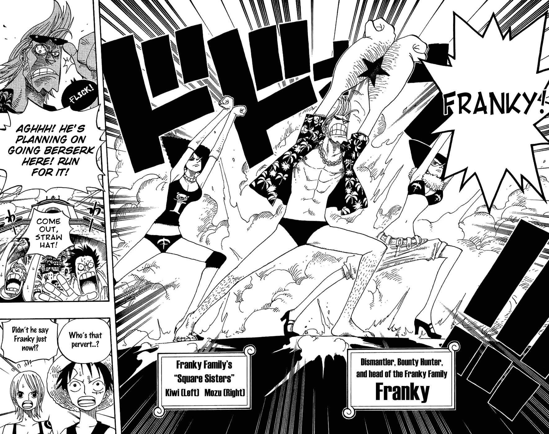 One Piece, Chapter 335 image 14